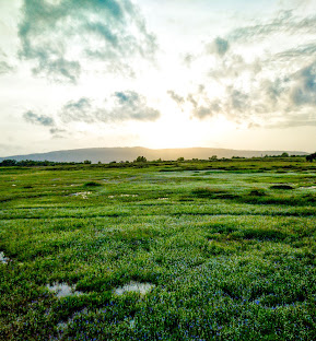 Madayipara