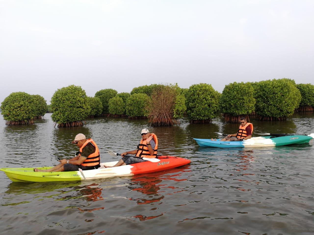 Mangrove Kayaking