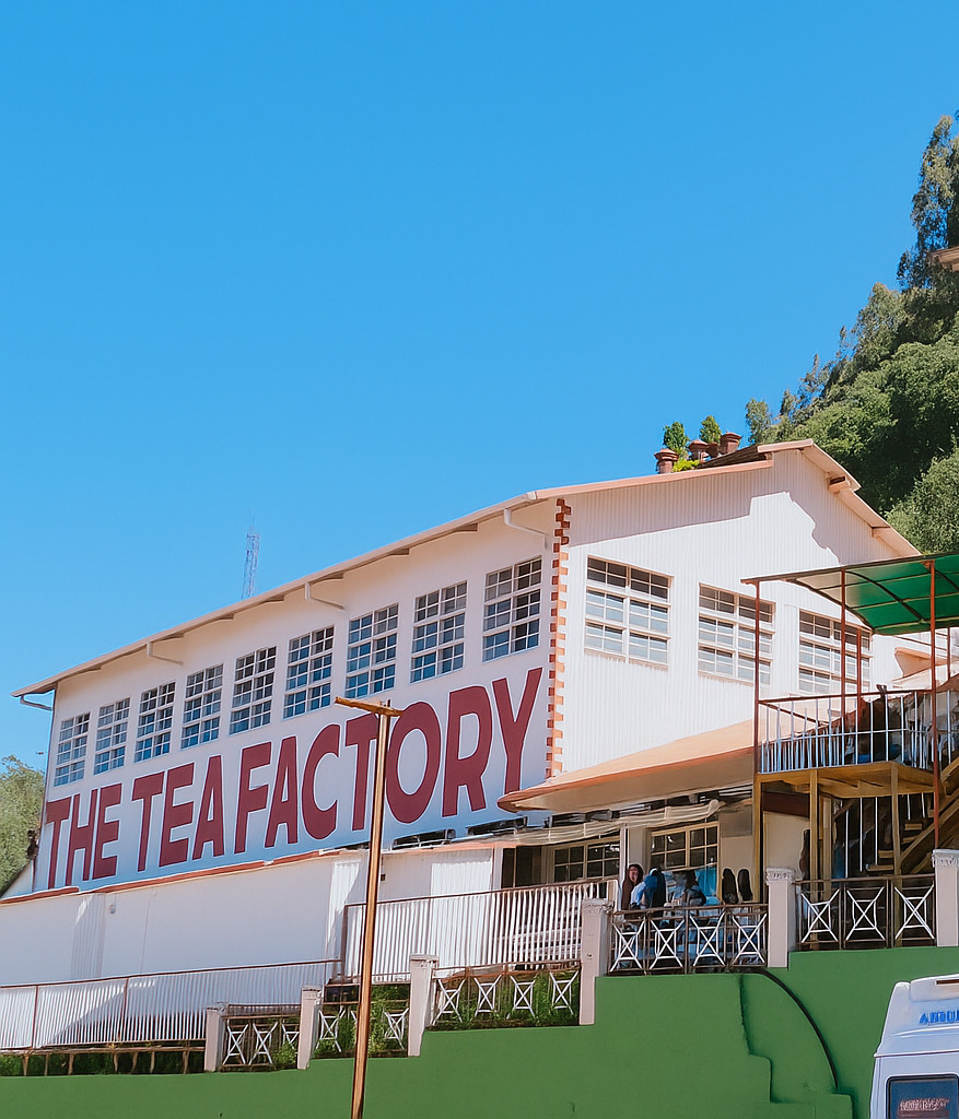 Tea factory and tea museum